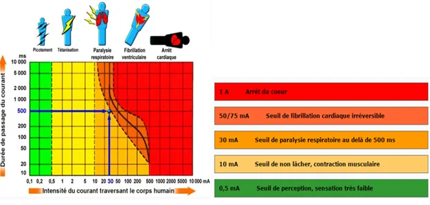 Effets sur l'homme​